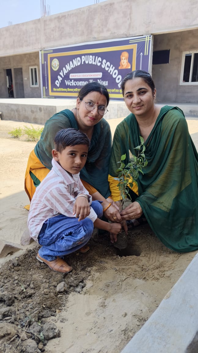 PLANTATION IN THE SCHOOL PREMISES - Image 10